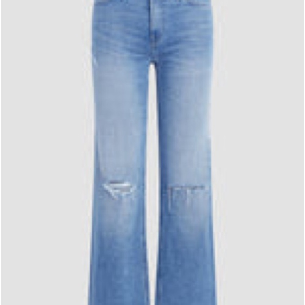 Hudson 26 Rosie Wide Leg Ankle Jean, “inspire me”